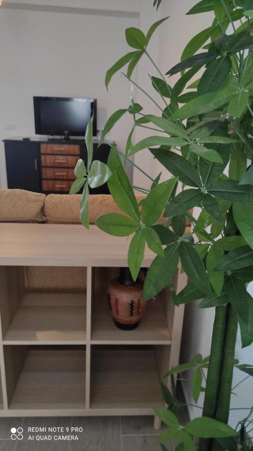 Casa Tia Pilar Villa Algodonales Ngoại thất bức ảnh
