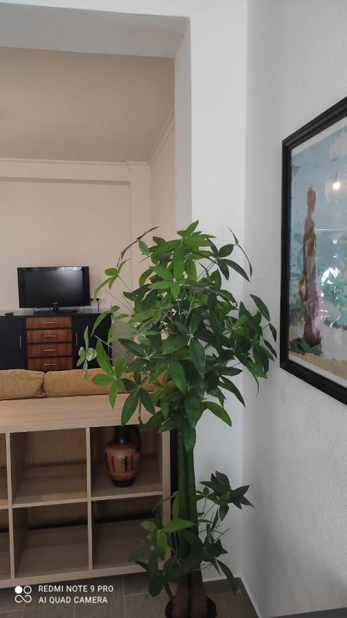 Casa Tia Pilar Villa Algodonales Ngoại thất bức ảnh